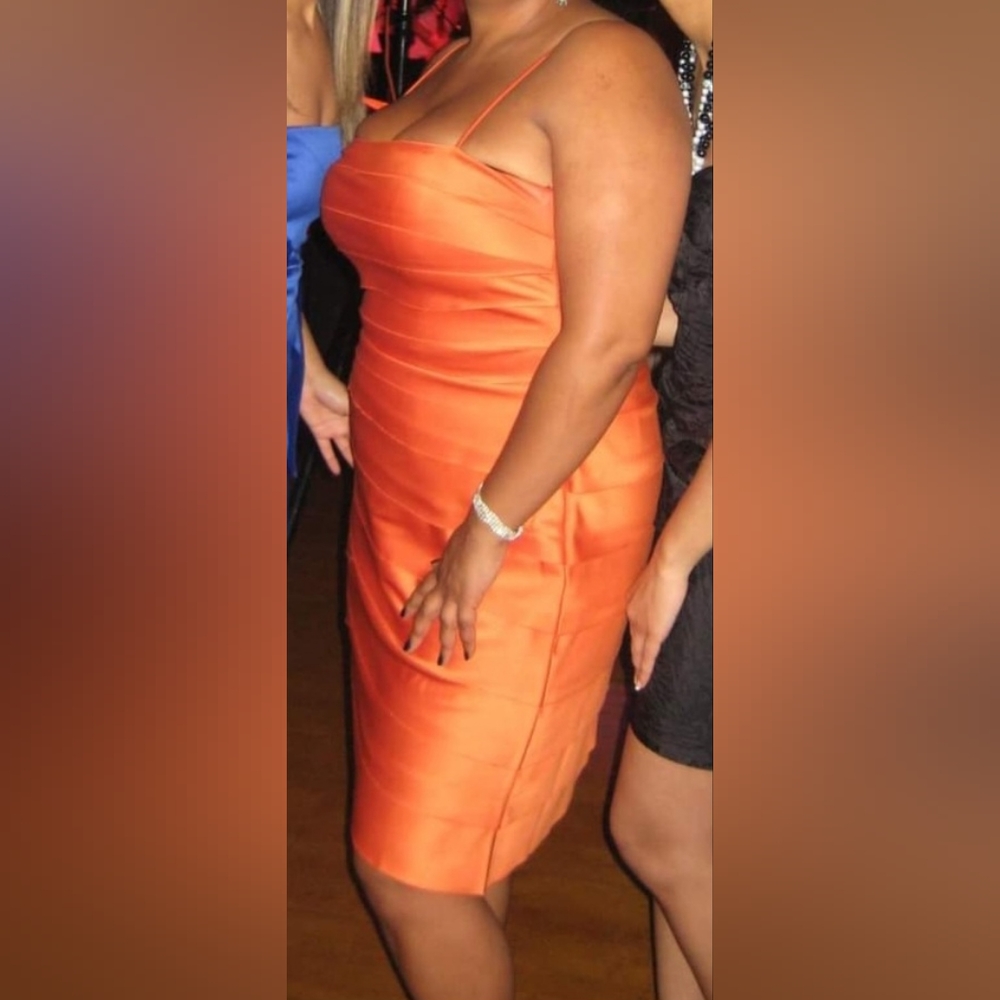 JS Collections bodycon dress